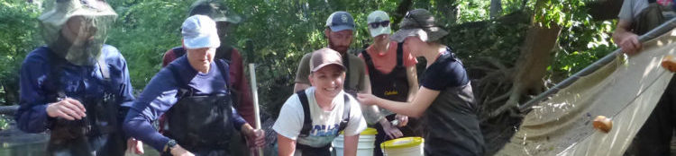 Volunteers with a net doing river monitoring of fish