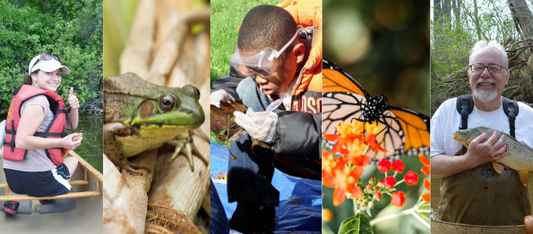 Collage of kayaker, frog, kid scientist, monarch butterfly, man holding fish