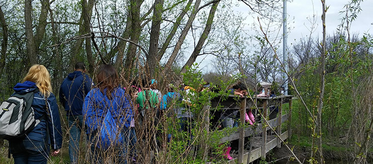 Volunteer group walking in the woods, crossing a footbridge along the river