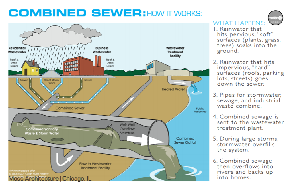 Rain Garden Construction Guide for Homeowners - Shediac Bay Watershed  Association