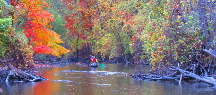 Paddling on the Rouge in the Fall with beautiful fall color leaves