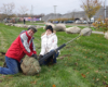Citizen foresters George Gomez and Lori Fagan unwrap a red oak they will plant in Patton Park, view facing west towards Dix Avenue