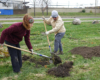 Citizen foresters Lindsey Schad and Peggy Harp dig a tree hole in Patton Park, view facing northwest towards Dix Avenue