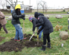 Greening of Detroit employee Ayatallah el Amin (left, yellow hood) digs a tree hole with citizen foresters Ellen Beeman and Mollika Biernat, view facing northwest towards Dix Avenue
