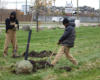 Greening of Detroit employees Chris Berry and Melvin Banks plant a tree in Patton Park, view facing north towards Dix Avenue