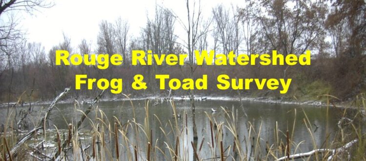 Rouge River Watershed Frog & Toad Survey