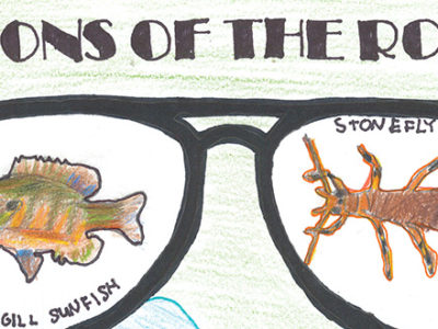 Visions of the Rouge 1st Place poster crop - Illustration of glasses with a Bluegill Sunfish and a Stonefly