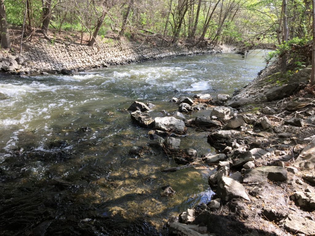 Rushing river and rocks