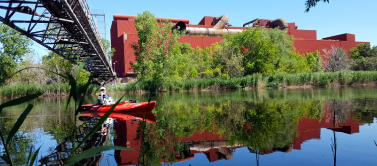 Paul kayaking on the Rouge River