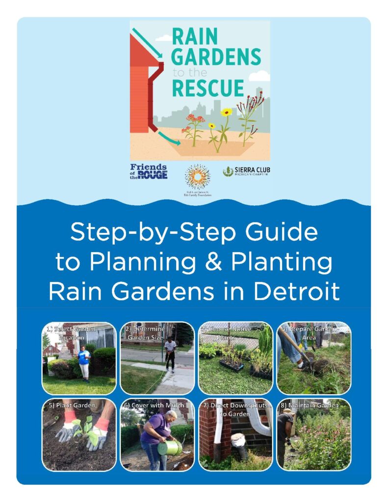 Everything You Need to Know About Building a Rain Garden