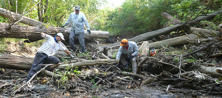 Three men working to remove a logjam