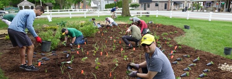 Rain Garden Planting Days