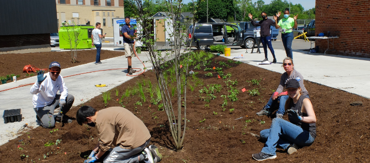 Planting the rain gardens at PARC