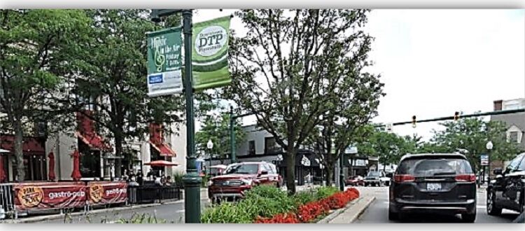 Trees on Main Street Plymouth