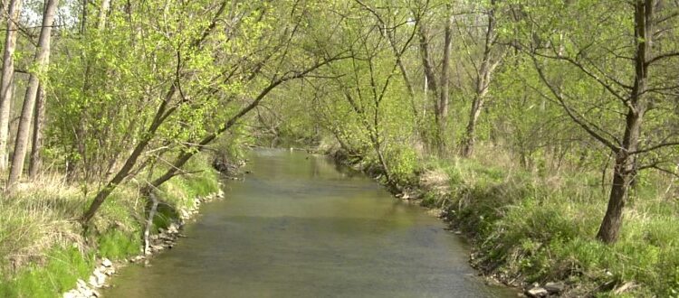 https://therouge.org/wp-content/uploads/2021/09/Southfield_Spring-Monitoring-2004_770x330-750x330.jpg