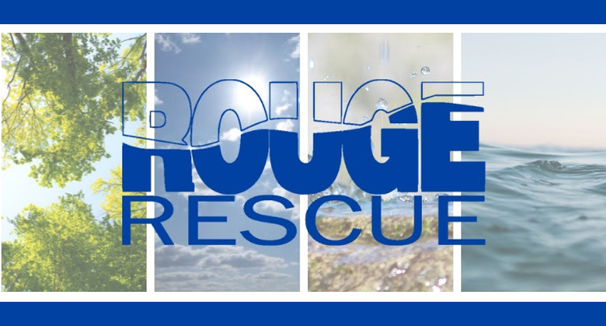 Rouge Rescue
