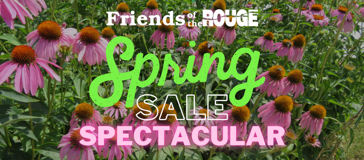 Spring-Sale-Spectacular