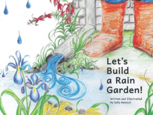 lets build a rain garden