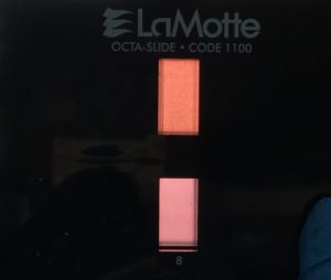 Nitrate test results