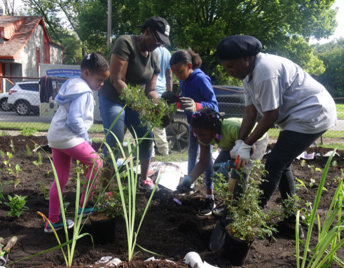 Two women and two children planting plants in a rain garden.