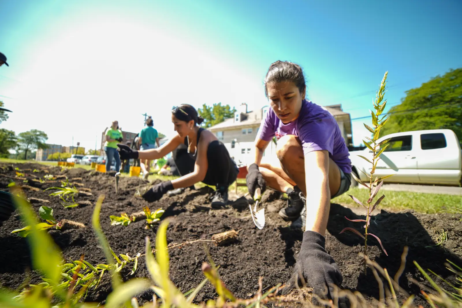 FOTR team members planting in a garden