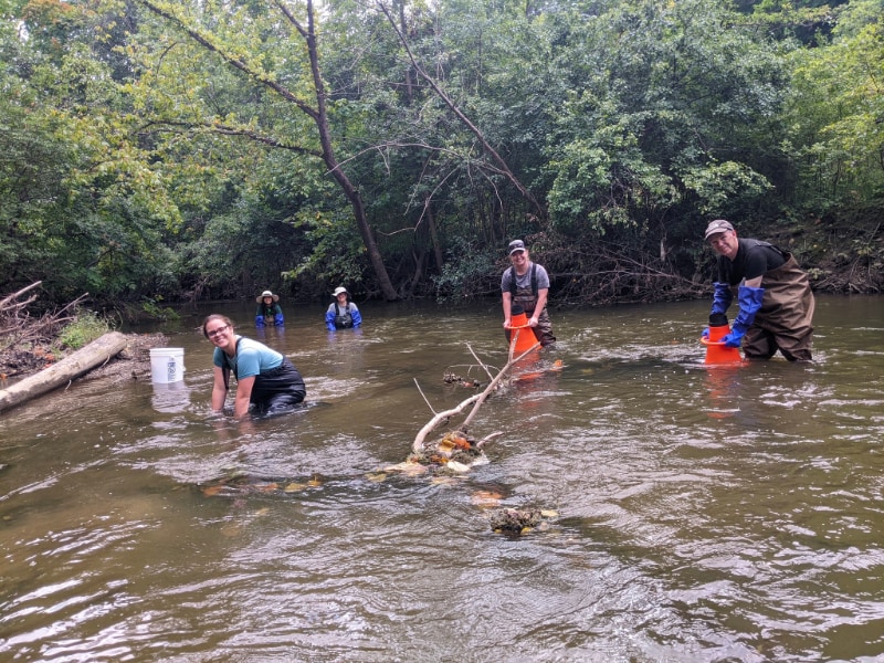 The Goal of Advocating for the River