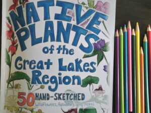 Native Plants of the Great Lakes Region Color By Number