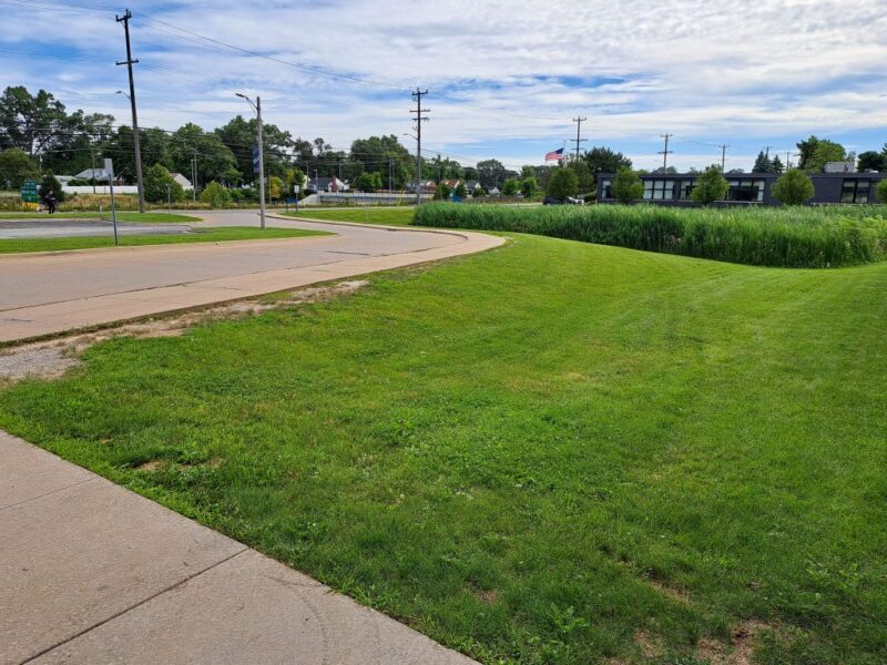 Thuston High School bus lane prior to tree planting