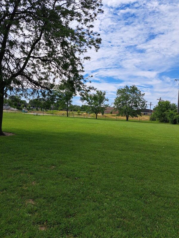 Field next to Jane Addams playground prior to planting