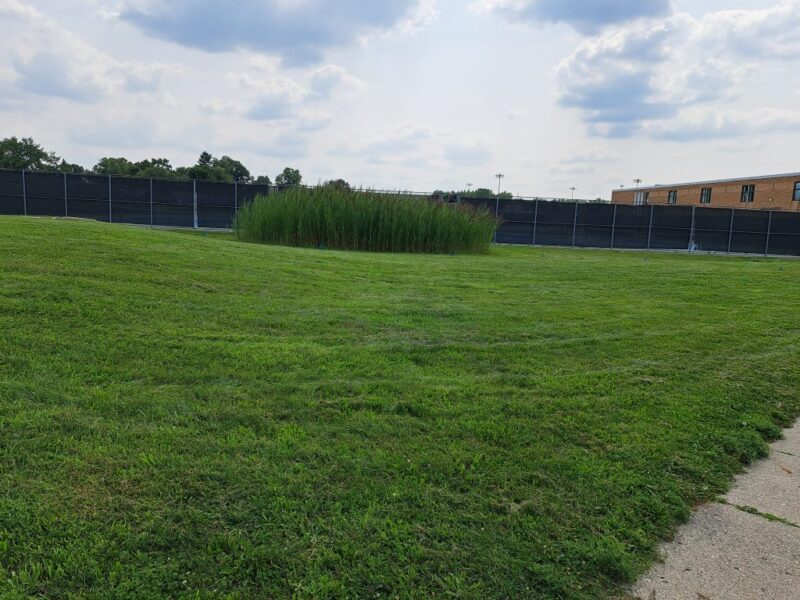 Area next to tennis courts at Thurston prior to planting