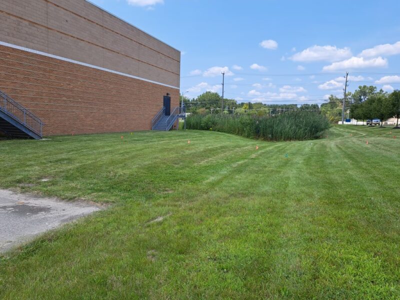 Area at the base of a hill at Thurston prior to planting