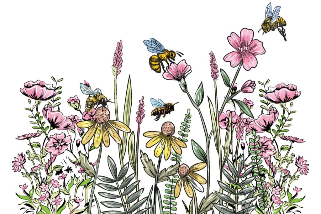 Illustration of bees flying around and landing on yellow and pink flowers.